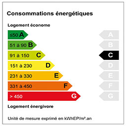 Diagnostique de performance énergétique étiquette : C
