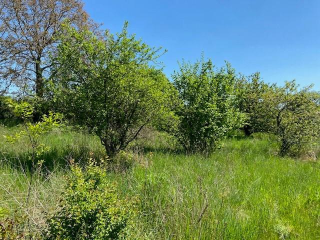 Vente - Terrains à bâtir à Montigny-sur-Vesle - image 1