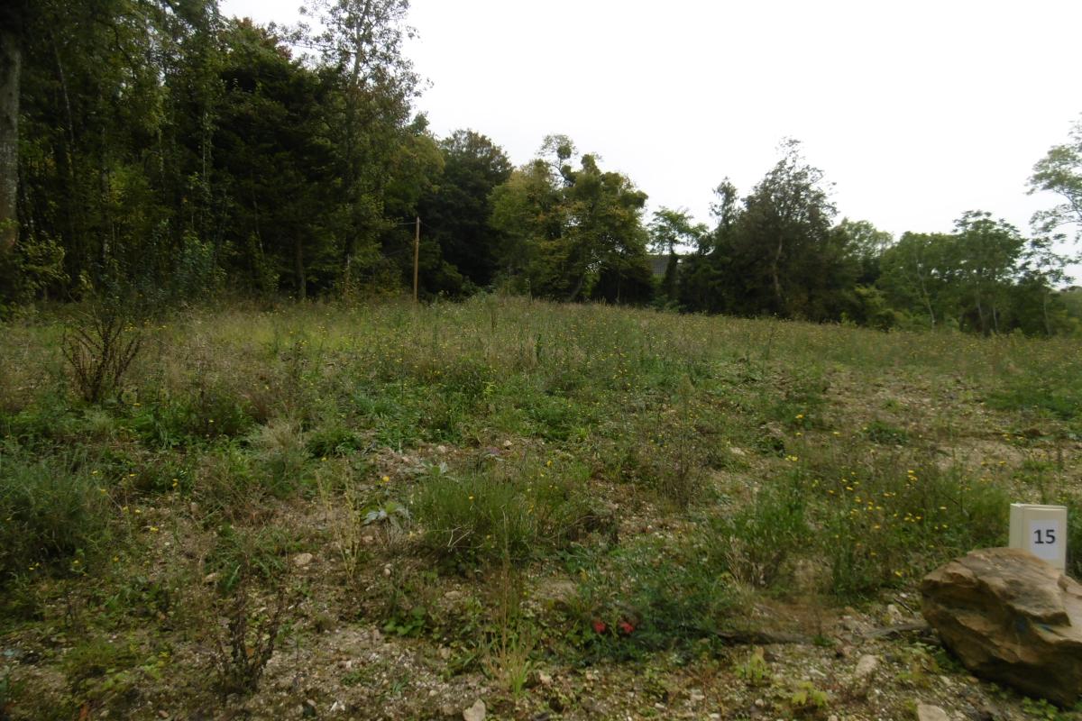 Vente - Terrains à bâtir - 0 pièces à Coulommes-la-Montagne