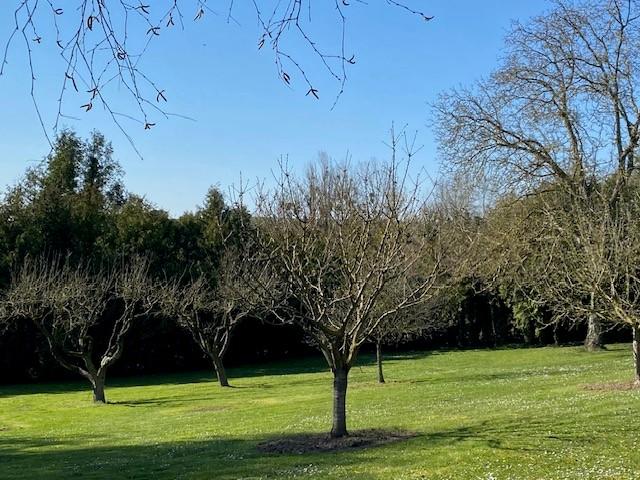 Vente - Maison -  3 pièce(s) -  62 m² à Montigny-sur-Vesle - image 1