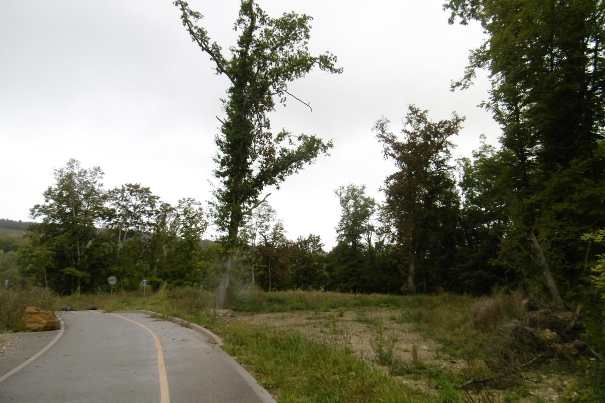 Vente - Terrains à bâtir - 0 pièces à Coulommes-la-Montagne