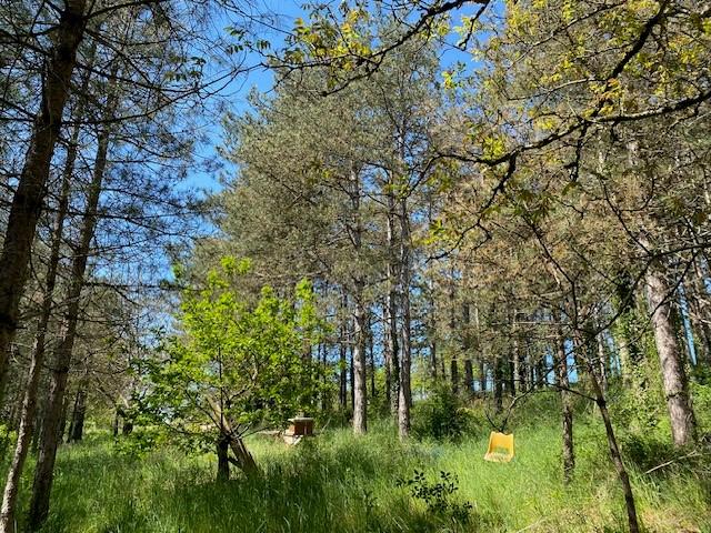 Vente - Terrains à bâtir - 0 pièces à Montigny-sur-Vesle