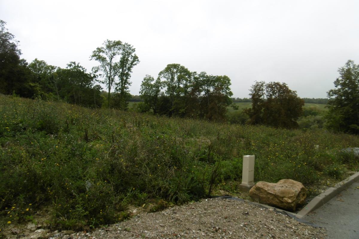 Vente - Terrains à bâtir à Coulommes-la-Montagne - image 1