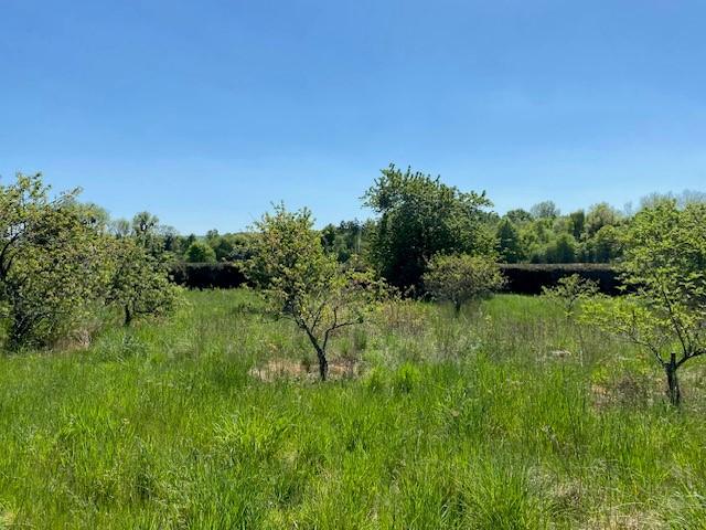 Vente - Terrains à bâtir à Montigny-sur-Vesle - image 1