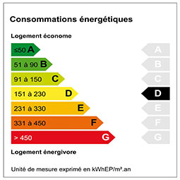 Diagnostique de performance énergétique étiquette : D