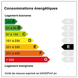 Diagnostique de performance énergétique étiquette : E