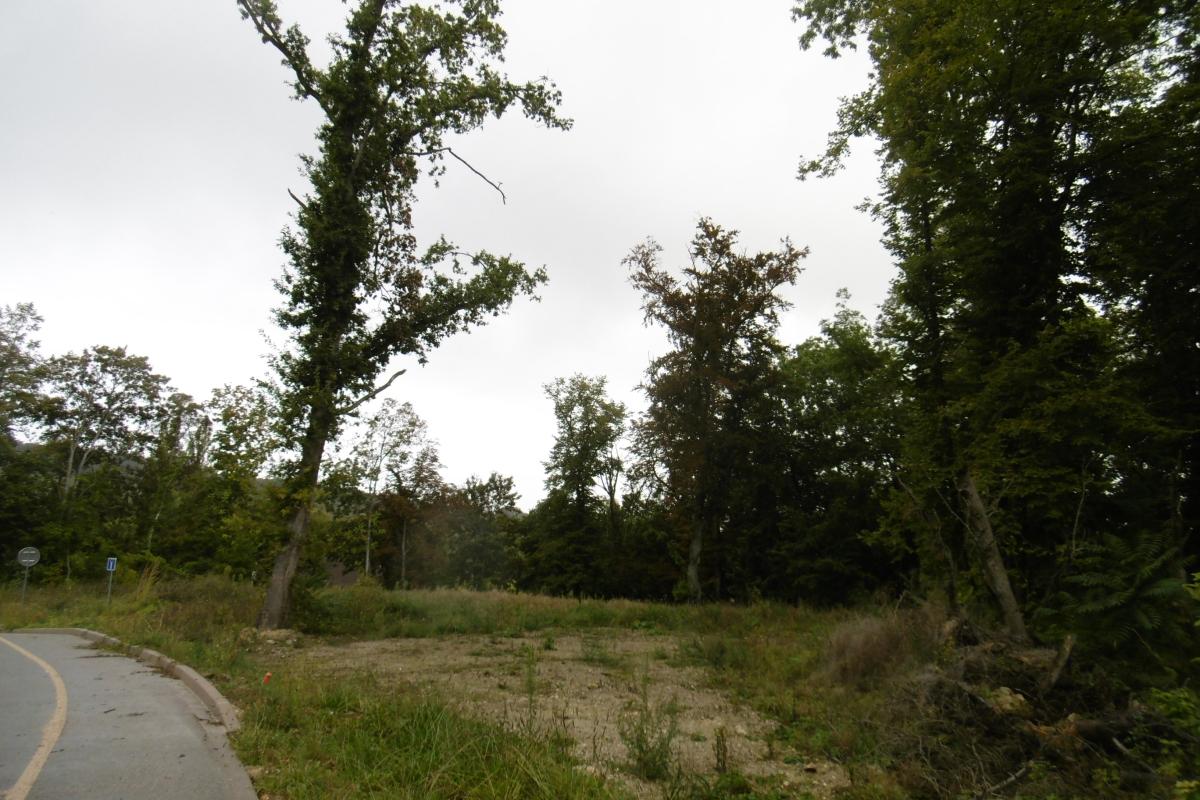 Vente - Terrains à bâtir - 0 pièces à Coulommes-la-Montagne